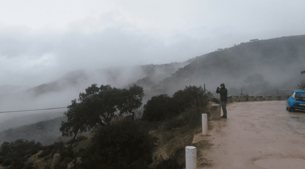 A foggy morning on Andujar's hillsides by the road