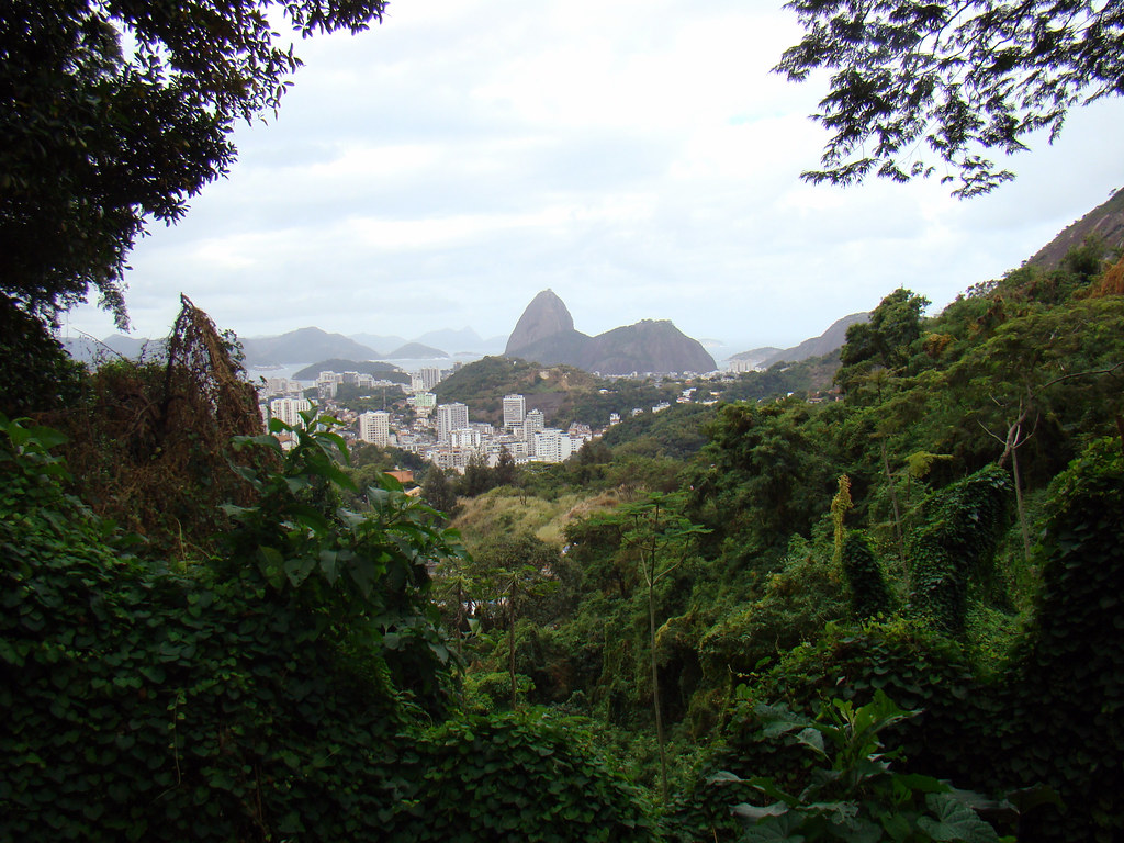 A view of Rio de Janeiro, with the Atlantic Forest in the foreground