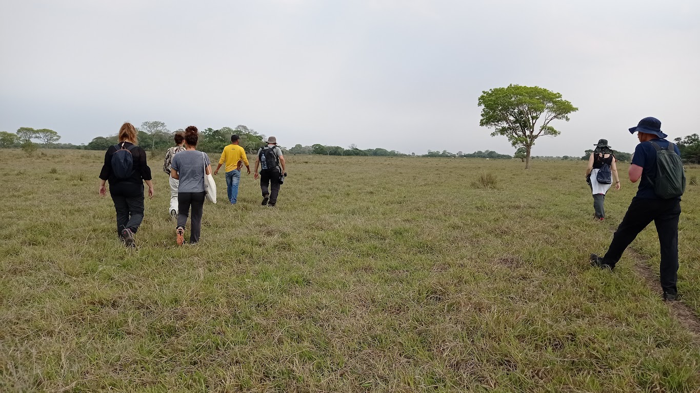 A walk through one of the Pantanal's grasslands