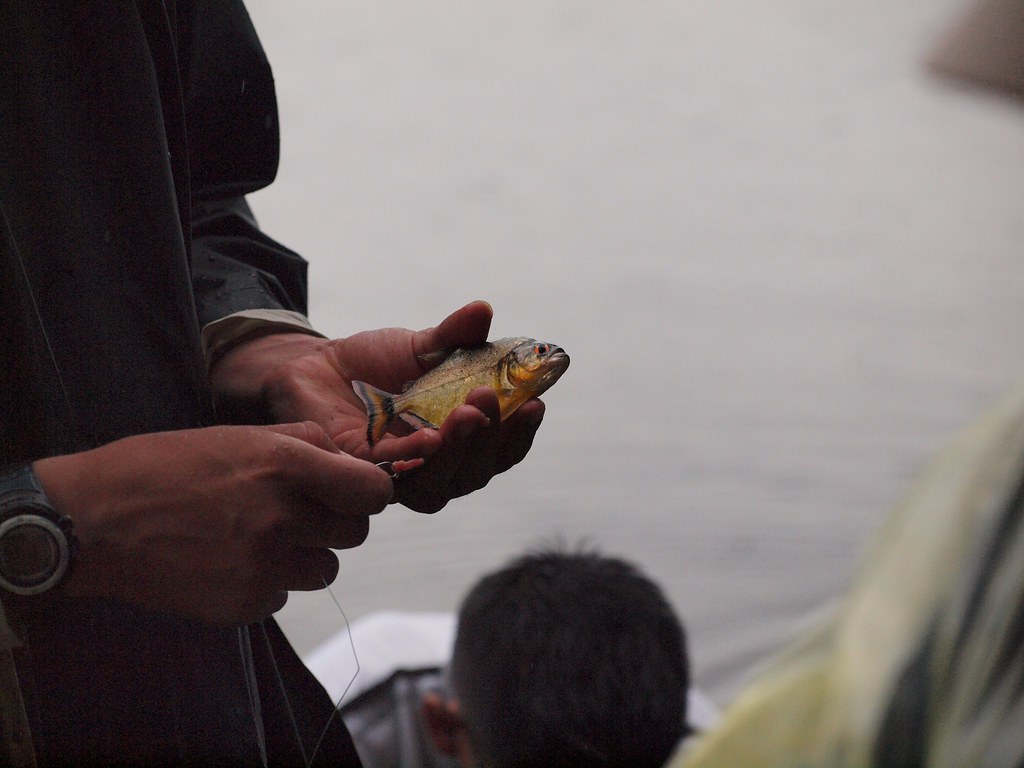 A fisherman holding a piranha